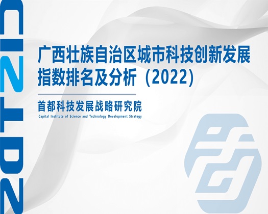 国产大骚逼操【成果发布】广西壮族自治区城市科技创新发展指数排名及分析（2022）